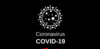 d'où vient le coronavirus